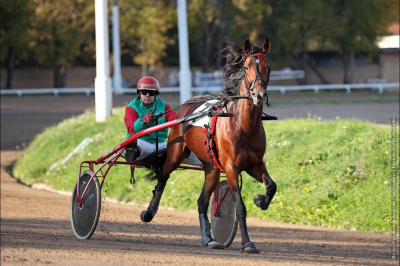 Московский ипподром: грандиозные обещания или очередная показуха?