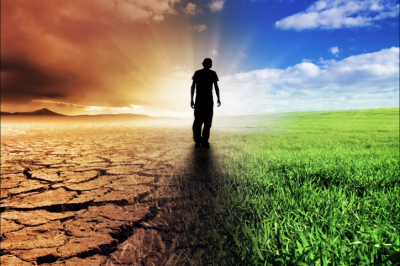 ЭКО в клиниках MD Group: сомнительная «помощь» или надежда на чудо?